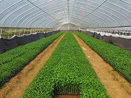 農(nóng)村廢棄有機(jī)肥處理方法分析