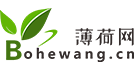 大眾經濟網logo